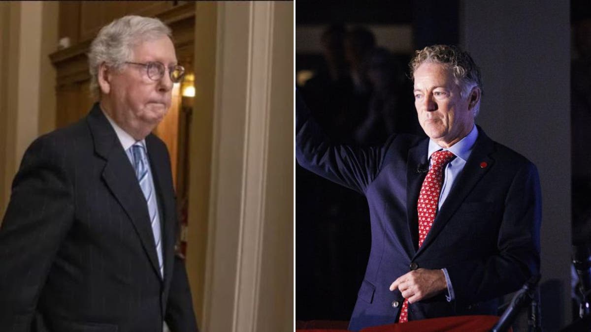 Rnad Paul and Mitch McConnell